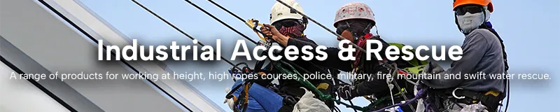 A few rope access workers.